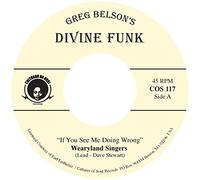 Wearland Singers - If You See Me Doing Wrong / Nobody But Jesus [VINYL] [Vinilo]