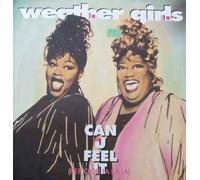 Weather Girls - Can you feel it [VINYL]