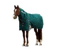 Weatherbeeta 2025 Comfitec Plus Dynamic Turnout Detach-A-Neck 1029004 - Forest Green Rug Weight - 0G, Size - 6ft