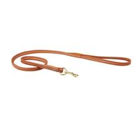 Weatherbeeta Correa redondeada de piel para perros (WB1257)