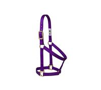 Weaver Leather 35-7404-TU Basic - Halter no Regulable (1 Pulgada), Color Turquesa, 35-7404-PU, Morado, S Horse