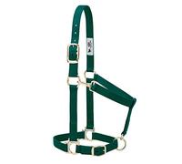 Weaver Leather Cabestro básico Ajustable de Nailon, Verde Cazador, Caballo Promedio de 1 Pulgada