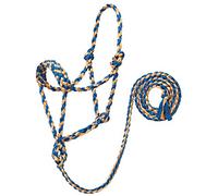 Weaver Leather Cabestro de Cuerda Trenzada con Correa de 6 pies, Promedio