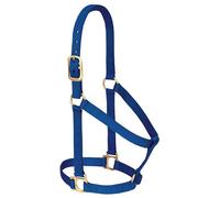 Weaver Leather Halter Básico No Ajustable Nylon Caballo Mediano, 2,5 cm, Azul