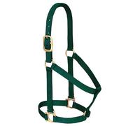 Weaver Leather Halter Básico No Ajustable Nylon para Caballo Grande 2,5 cm, Verde Cazador