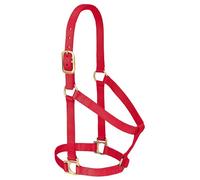Weaver Leather Halter Básico No Ajustable Nylon para Caballo Pequeño, 2,5 cm, Rojo