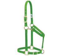 Weaver Leather Original Cabestro Ajustable de Nailon para Caballos, 35-7035-LI, Verde (Lime Zest), 1 Inches Average Horse
