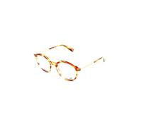 WEB Gafas de Vista WE5204 N Havana 48/20/140 Hombres