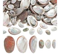 WEBEEDY 120 piezas conchas de abulón naturales 2 tamaños de cáscara de abulón para manualidades seleccionadas a mano con agujeros pretaladrados para creación de joyas DIY Decoraciones para casa