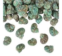 WEBEEDY Aproximadamente 60 conchas verdes pequeñas de mar naturales de 3 a 5 cm, conchas marinas pequeñas para manualidades, joyería, decoración del hogar, suministros de fiesta temática de playa