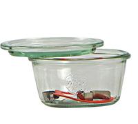 Weck Bote de 370 ml, con tapadera de 100 mm, con Junta y Clips, Caja de 6 Piezas, Cristal, Transparente, 6 x 370 ml, 370