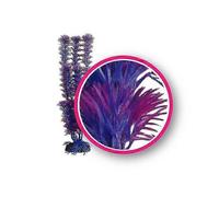 Weco Products Dream Series Fuschia Fern Aquarium Plant, Pink, Purple, 1 Each/9 in