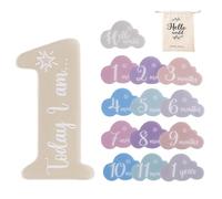 Wectirc Letreros de marcador de mes para bebé, tarjetas de fotos, accesorios para fotos, letrero de saludo acrílico, marcador mensual, marcadores de bebé, forma de nube, anuncio de bebé y marcadores