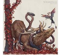 Book Of Spells [Vinilo]