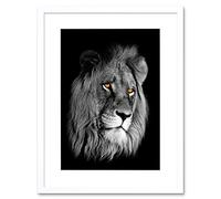 Wee Blue Coo African Lion Portrait Cat Art Lámina Enmarcada 12 x 16 Pulgadas