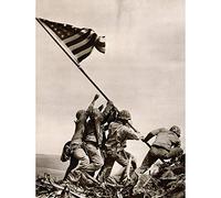Wee Blue Coo Bumblebeaver War WWII IWO JIMA Stars Stripes Flag New Fine Art Print Poster Picture 30x40 CMS Guerra Segunda Guerra Mundial Estrella Bandera Lámina Póster Imagen