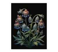Wee Blue Coo Delicate Plant Blooms on Black Ernst Haeckel Style Artwork Teal Green Purple Plant Blooming Flowers Extra Large XL Wall Art Poster Print