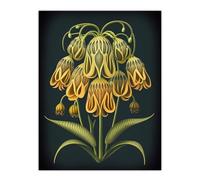 Wee Blue Coo Ernst Haeckel Style Concept Artwork Green Orange Plant Blooming Flowers Extra Large XL Wall Art Poster Print