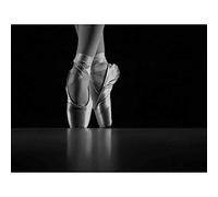 Wee Blue Coo Photo Dancing Dancer Ballerina Ballet Shoes Art Print Poster Wall Decor 12X16 Inch