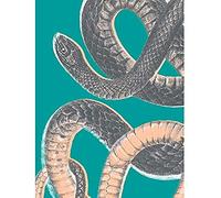 Wee Blue Coo Snake Illustration Modern Biodiversity Unframed Art Print Poster Wall Decor 12x16 inch Ilustracin Pster pared