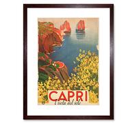 Wee Blue Coo Travel Tourism Capri Sun Island Flowers Sea Italy Lámina Enmarcada 12 x 16 Pulgadas