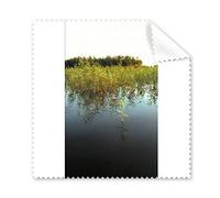 Weed in The Lake Art Deco - Paño de limpieza para pantalla de teléfono, 5 unidades