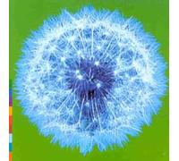 Week Or Two in the Real W [Casete]