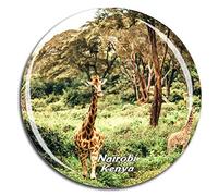 Weekino Parque Nacional Nairobi Kenia Imán de Nevera 3D de Cristal de Turismo de la Ciudad de Viaje Recuerdo de la Colección de Regalo Fuerte Etiqueta Engomada del refrigerador