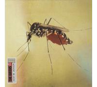 Weeks - Dear Bo Jackson