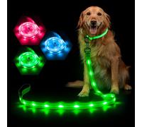 Weesiber Correa LED brillante para perro, correa recargable por USB, con luz intermitente, 3 modos de flash, correa de nailon para mascotas que hace que tu perro sea visible y seguro (verde)