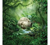 Weezer - Weezer - Sznz:Spring (CD)