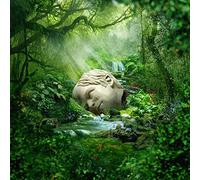 Weezer - Sznz: Spring (LP)