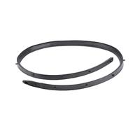 WEFOLCC Burlete De Goma para Puerta Coche Peugeot 307 Cinta Sellado Accesorios para Panel Interior De Puerta Trasera Repuesto Sellos Puertas Y Ventanas(Lado Derecho)