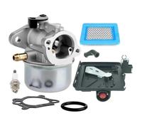 WEFOLCC para Briggs & Stratton 498170 799872 694202 497586 498254 790821 799868 Carburador Accesorios Motocicletas