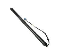 WEFOLCC Resorte Gas Eléctrico 68910-09010 68920-09010 Par Soportes Elevación Portón Trasero Eléctrico con Amortiguadores De Gas para Toyota RAV-4 2014 2015 2016 2017 2018 (Izquierda)