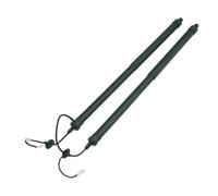 WEFOLCC Resorte Gas Eléctrico Soporte De Elevación del Portón Trasero Eléctrico Izquierdo Derecho Universal para N&issan para Kizashi para Rogue para X-Trail 2014-2020 905614CL3A (2pcs)