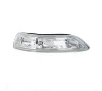 WEFOLEN Luz Señalización Giro Espejo Lateral Exterior Coche 876143 L000 876243 L000 Para Hyundai Para Azera TG 2006 2007 2008 2009 2010 Indicador Espejo Lateral(lado derecho)
