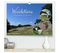 Weidetiere - Landschaftsgestalter seit Jahrhunderten (hochwertiger Premium Wandkalender 2026 DIN A2 quer), Kunstdruck in Hochglanz: Verschiedene ... Bedeutung dieser Art der Flächennutzung