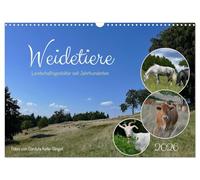 Weidetiere - Landschaftsgestalter seit Jahrhunderten (Wandkalender 2026 DIN A3 quer), CALVENDO Monatskalender: Verschiedene Weidetierarten auf ... Bedeutung dieser Art der Flächennutzung
