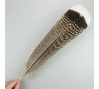 WEIDU 10 unids/Lote de Plumas de águila Naturales para Manualidades, Tocado de Plumas, Accesorios, decoración de Vacaciones, Pluma de Carnaval, decoración Artesanal DIY