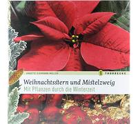 Weihnachtsstern und Mistelzweig: Mit Pflanzen durch die Winterzeit