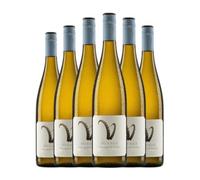 Weingut Hörner Sauvignon Blanca Pfälz 75 cl Vino blanco (Caja de 6 Botellas de 75 cl)