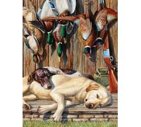 Weiniuniu DIY kit de punto de cruz preimpreso Perro de caza y pato kit estampado para adultos principiantes 11 quilates kits de bordado arte de pared para 40x50 cm