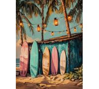 Weiniuniu DIY kit de punto de cruz preimpreso Skate junto al mar kit estampado para adultos principiantes 11 quilates kits de bordado arte de pared para 50x70 cm