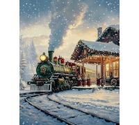 Weiniuniu Kit de pintura de diamantes 5D Tren de Copos de Nieve pintura por números para adultos Bricolaje taladro completo Cristal diamante Pinturas Artes 50X70 cm