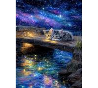 Weiniuniu Kit de punto de cruz de para adultosGato en un puente bajo un cielo estrellado kit de bordado estampado de 11 quilates DIY principiantes decoración del hogar40x50 cm