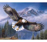 Weiniuniu Pintura de Diamantes 5D DIY Kit Completo águila Diamantes de Imitación de Cristal,Cuadros Artísticos en Lienzo,Adultos Decoración Hogar 50x70 cm