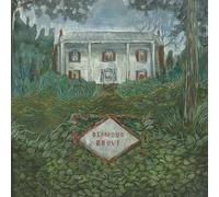 Weirs - Diamond Grove [Vinilo]