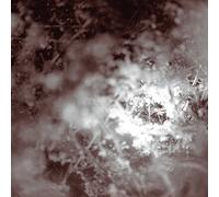 Weis - Dont Know Just Walk [Vinilo]