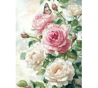 WEISHIWE Mariposa y rosa Pintar por Numeros Adultos, 60x80cm w-370